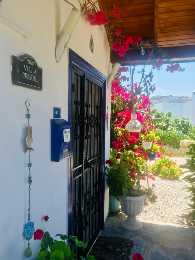 Villa Priene - Gumusluk Private Pool المظهر الخارجي الصورة