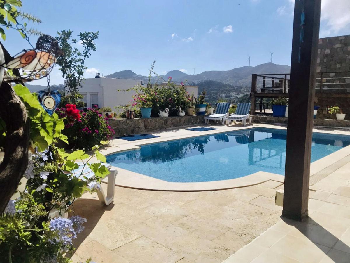 Villa Priene - Gumusluk Private Pool المظهر الخارجي الصورة