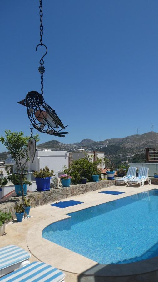 Villa Priene - Gumusluk Private Pool المظهر الخارجي الصورة